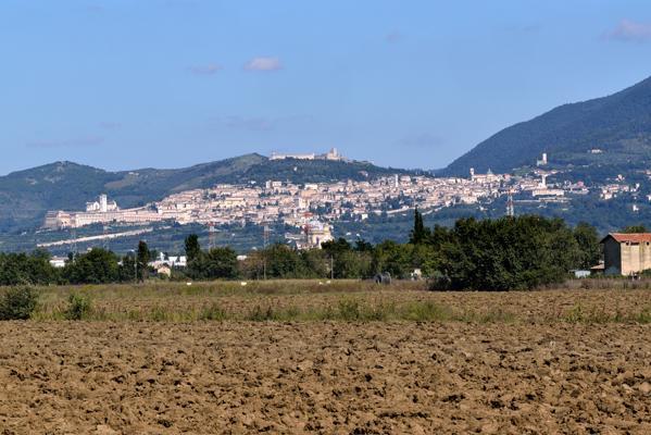 Agriturismo Bellarosa Assisi Dış mekan fotoğraf
