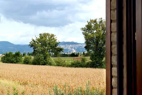 Agriturismo Bellarosa Assisi Dış mekan fotoğraf